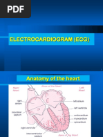 Electrocardiogram