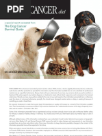 Dog Cancer Diet