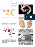 Anatomia Coronaria PDF