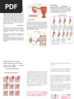 La Fecundació1 Triptico