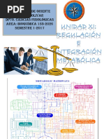 Integracion Metabolica