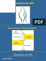 Metabolismo de Proteínas