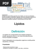 Lipidos