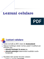  Curs Leziuni Celulare