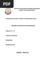 Esquema de Informe de Practicas Pre Profesionales Ii - Iii PDF