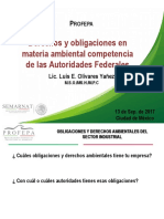 Diagrama de Inspeccion Auditoria Ambiental