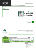 Programa de Estudios Gestión de Los Servicios de Enfermería