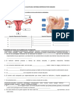 Practica Final Sistema Reproductor