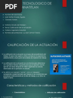 Calificación de La Actuación