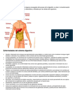 Enfermedades Del Los Sitemas