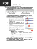 Chapter 17 - Transcription and Translation