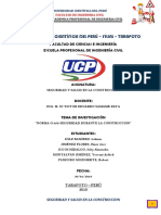 Informe Seguridad y Salud en La Construccion PDF