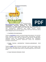 Jenis Neurotransmitter Dan Fungsinya