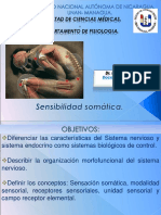 Sensibilidad Somatica