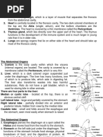 Rat Digestive System