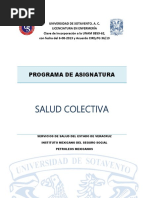 Salud Colectiva Plan de Docencia 2019