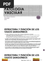 Patologia Vascular