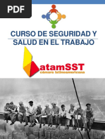 CURSO SEGURIDAD Y SALUD EN EL TRABAJO-Sesión 1 PDF