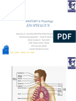 Esophagus Lecture Fatima NEW 2015