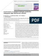 Enhancement of Biological Hydrogen Production Using Green Alga Chlorococcum Minutum