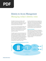 Deloitte IAM Services 2008