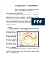 Apuntes de Fermentación Láctica