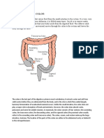 Introduction To Colon