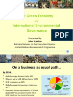 The Green Economy International Environmental Governance