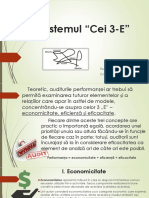 Audit Intern Cei 3E