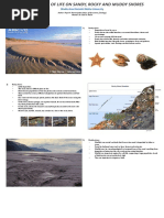 DISTRIBUTION OF LIFE ON SANDY, ROCKY AND MUDDY SHORES by Payal H. Ranerajadav 