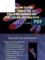 Dinamica de Telomeros y Telomerasas