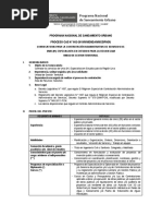 BASES CAS 002 - 2019 - Especialista en Estudios para La Región Lima