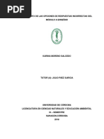 Argumento de Las Opciones de Respuestas Incorrectas Del Módulo A Enseñar Kary