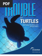 Trouble4Turtles WebFinal