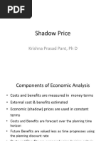 Shadow Price