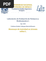 Bioensayo y Toxicidad en Artemia Salina