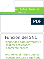 Mecanismo Reflejo Postural Normal