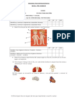 Prueba Diagnostica PREKINDER 2013