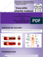 Vasculitis - Poliarteritis Nososa