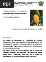 Manejo de Cultivos de Mango (Cultivos Perennifolios)