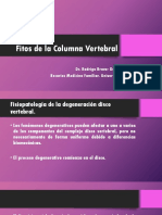 Fitos de La Columna Vertebral - Final