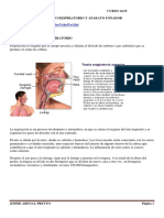 Aparato Respiratorio y Fonador