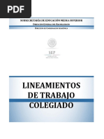 Lineamientos de Trabajo Colegiado