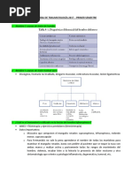 Prueba TMT 2017 PDF