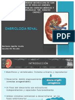 Embriologia Del Riñon