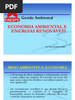 Aula de Economia Ambiental