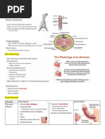 Male Disorders Penile Disorders (B&B)