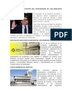 Funcion de Institución Del Procurador de Los Derechos Humanos