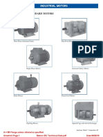 Motors IEC Techinical Data PDF