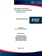 Auditoría Operativa - Trabajo Escrito